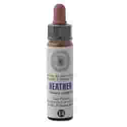 FIORI BACH 14 ERIC CLASSICO GTT 10 ML