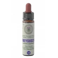Fiori Bach 16 Capr Classico Gtt 10 Ml