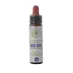 FIORI BACH 26 ELIA CLASSICO GTT 10 ML