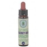 EMERGENCY REMEDY 39 CLASSICO GTT 10ML