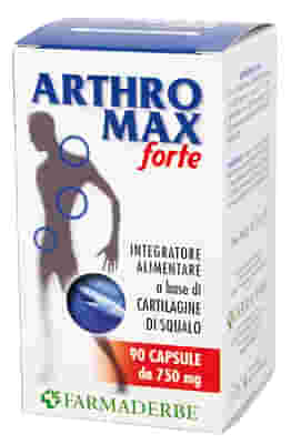 ARTHROMAX FORTE 90 CAPSULE