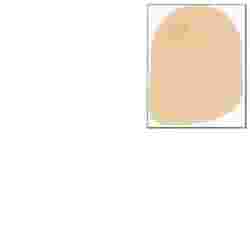 SACCA ANATOMICA PER COLOSTOMIA CHIUSA DANSAC NOVA 1 CON BARRIERA PROTETTIVA IDROCOLLOIDALE CON FILTRO ANTIODORE OPACA RIVESTIMENTO TNT IDROFOBICO DIAMETRO 40 MM 30 PEZZI