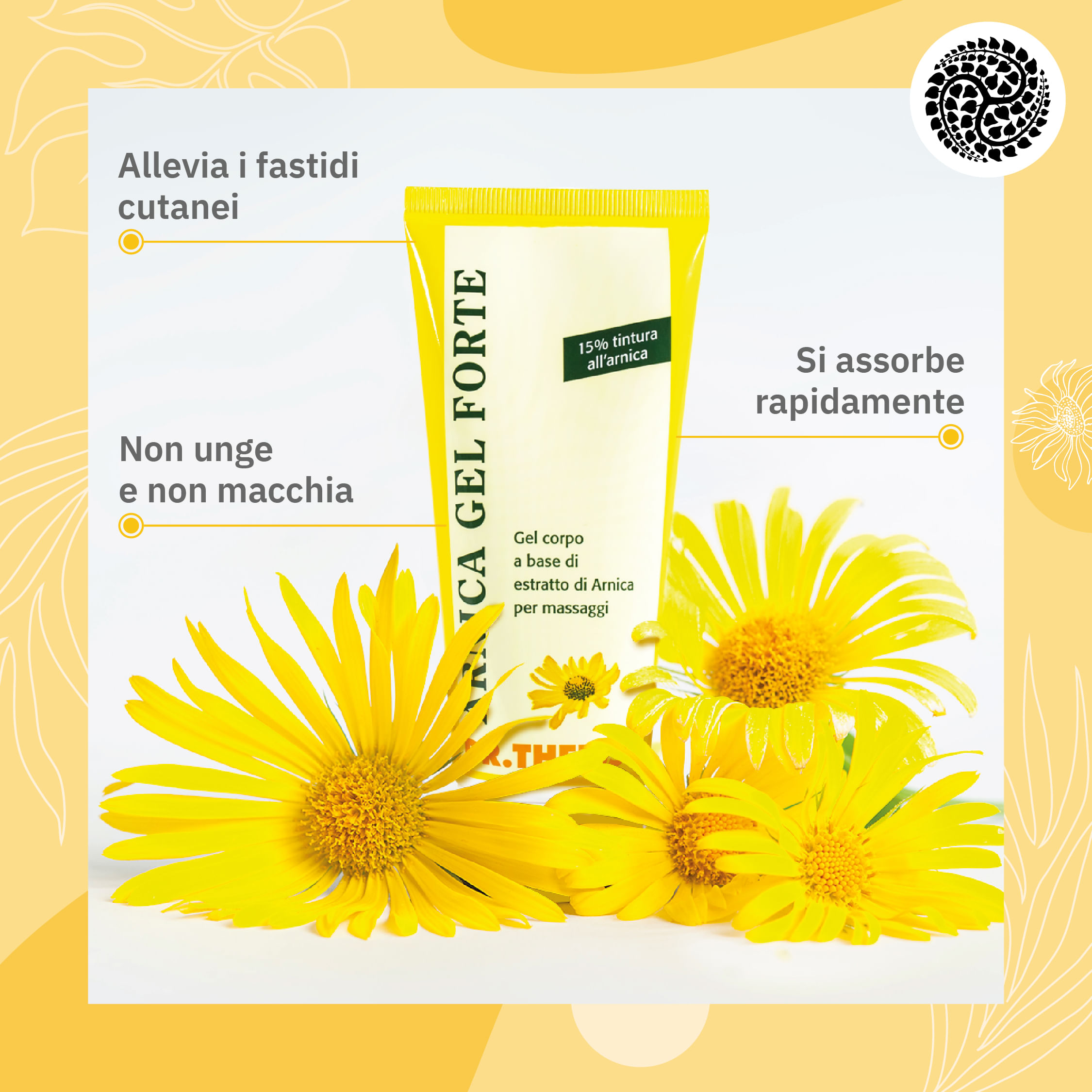 THEISS ARNICA GEL FORTE 100 ML