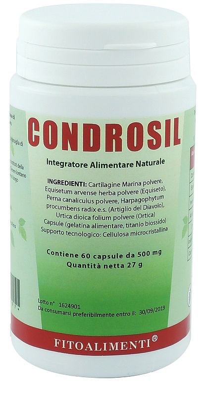 Condrosil 60 Capsule