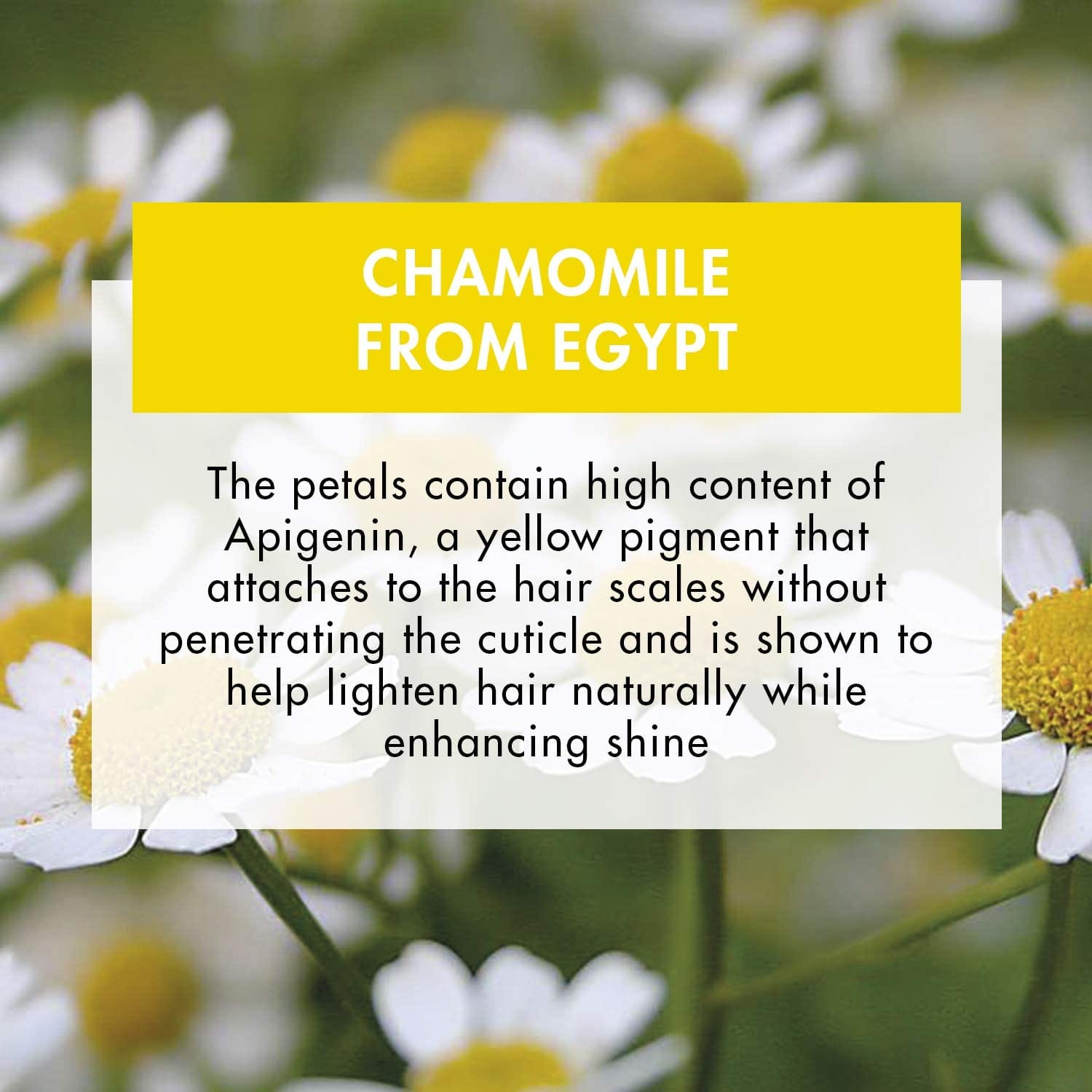 KLORANE MAXI SHAMPOO ALLA CAMOMILLA 400 ML