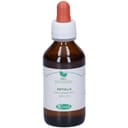 BETULLA MACERATO GLICERICO 100 ML