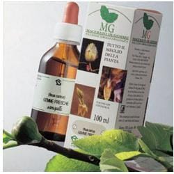 SANGUINELLO MACERATO GLICERICO 100 ML