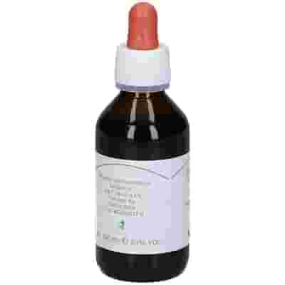 MELISSA TINTURA MADRE 100 ML