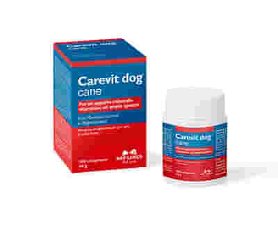 CAREVIT DOG FLACONE 100 COMPRESSE APPETIBILI