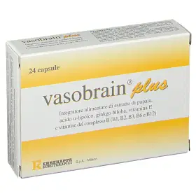 Vasobrain Plus 24 Capsule