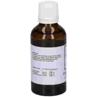 Gemmoderivato Fitomega Rige 1 in gocce, 50ml