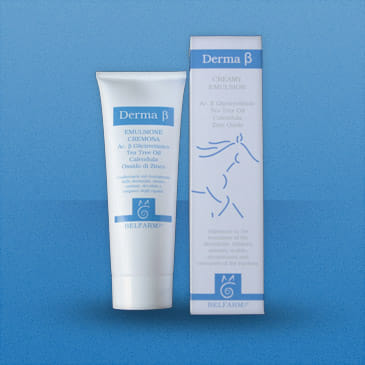 Derma B Crema Emulsione 250ml per Equini e Bovini