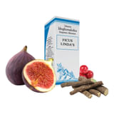 FICUS LINDAS GOCCE 50 ML