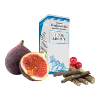 FICUS LINDAS GOCCE 50 ML