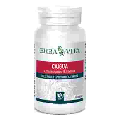 CAIGUA 60 CAPSULE 400 MG