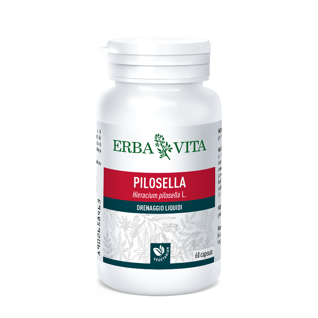 Pilosella 60 Capsule 400 Mg