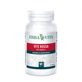 VITE ROSSA 60 CAPSULE 400 MG