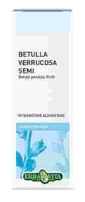 GEMMODERIVATO BETULLA SEMI 50 ML