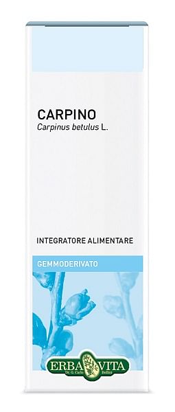 Gemmoderivato Carpino 50 Ml