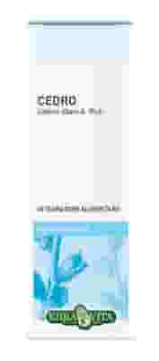 GEMMODERIVATO CEDRO 50 ML