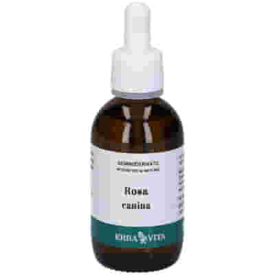 GEMMODERIVATO ROSA CANINA 50 ML
