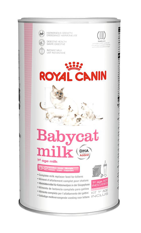 Royal Canin BabyCat Milk, sostituto latte per gattini 300g