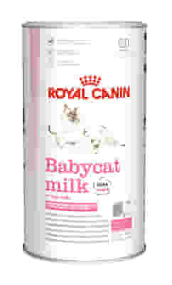 Royal Canin BabyCat Milk, sostituto latte per gattini 300g
