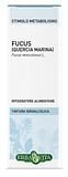 FUCUS TALLO SOLUZIONE IDROALCOLICA 50 ML