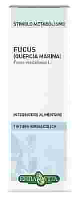FUCUS TALLO SOLUZIONE IDROALCOLICA 50 ML