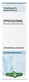 IPPOCASTANO SEMI TINTURA IDROALCOLICA 50 ML EBV