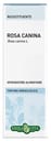 ROSA CANINA BACCHE TINTURA IDROALCOLICA 50 ML EBV