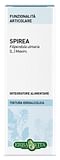 SPIREA ULMARIA TINTURA IDROALCOLICA 50 ML EBV