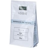 SALVIA OFF FGL TT 100G