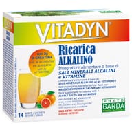 VITADYN RICARICA ALKALIN 14 BUSTINE