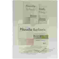 PILOSELLA-BERBERIS 30 BUSTINE
