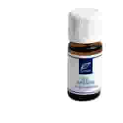 Olio Essenziale di Arancio Dr Taffi, 10ml per il relax