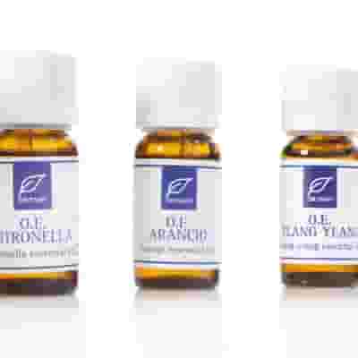 Olio essenziale di rosmarino Dr Taffi, 10ml