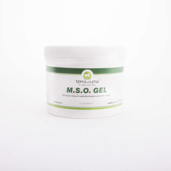 Gel MSO per cavalli con arnica e artiglio del diavolo, 500g
