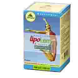 KURVILINEA LIPOLEM 80 COMPRESSE