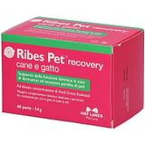 RIBES PET RECOVERY BLISTER 60 PERLE