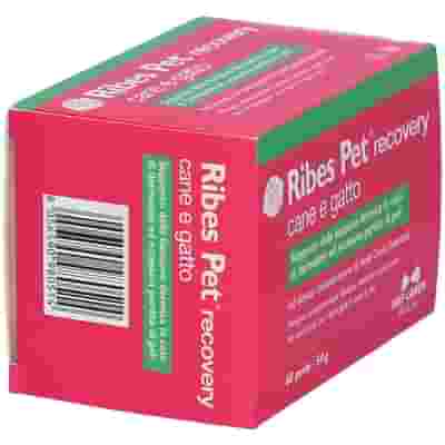 RIBES PET RECOVERY BLISTER 60 PERLE
