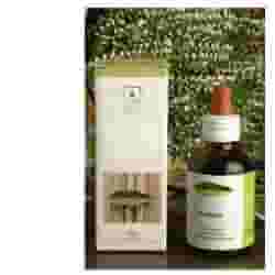 Estratto idroalcolico di Agno Casto STV in gocce, 50ml