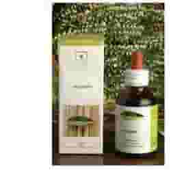 GINKGO BIO 50 ML SOTTOVUOTO