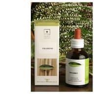 Estratto Idroalcolico di Olivo BIO, 50ml in gocce