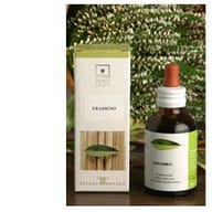 Estratto Idroalcolico di Passiflora BIO STV, 50ml