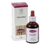 Gemmoderivato Ficus Carica da Pianta Fresca, 50ml