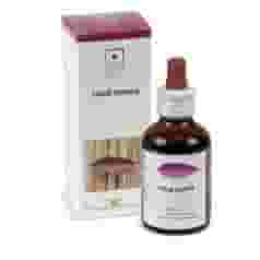 Gemmoderivato Ficus Carica da Pianta Fresca, 50ml