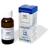 RIBES NIGRUM 100 ML