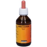 RIBES NIGRUM 100 ML