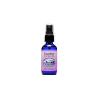 GUARDIAN SPRAY 60 ML 1 PEZZO
